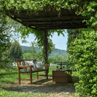 PVT-Podere-Zuccherini-4222