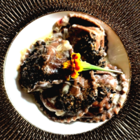 il-gallinaccio-2-boost
